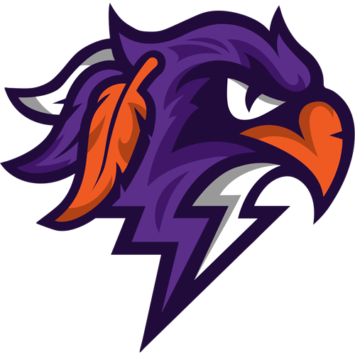 Thunderbirds logo